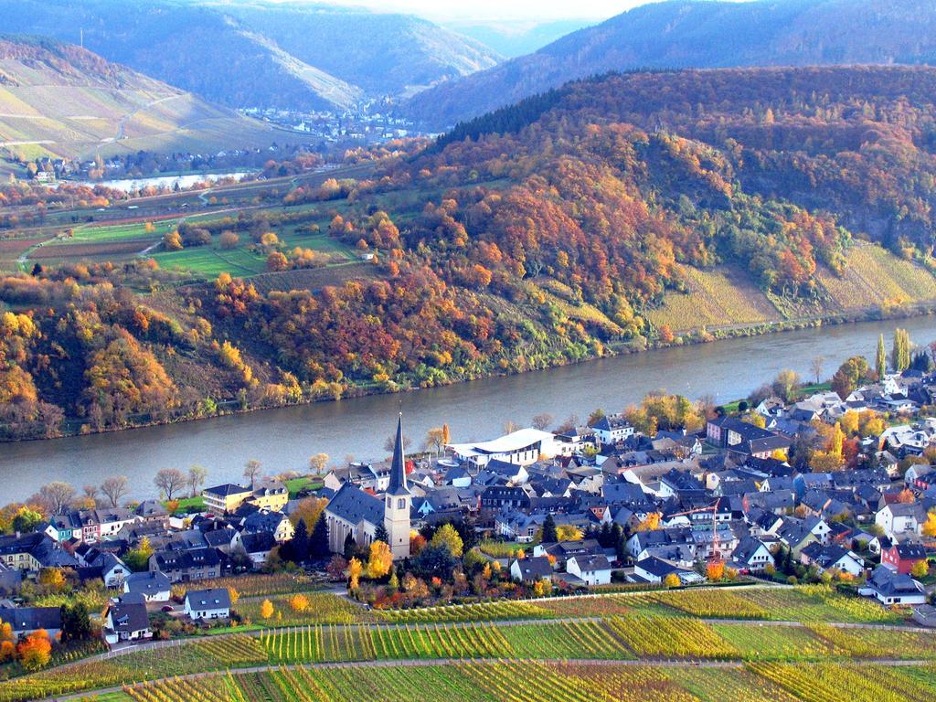 Ferienweingut Rainer Beitzel Hotel Kröv Eksteriør billede
