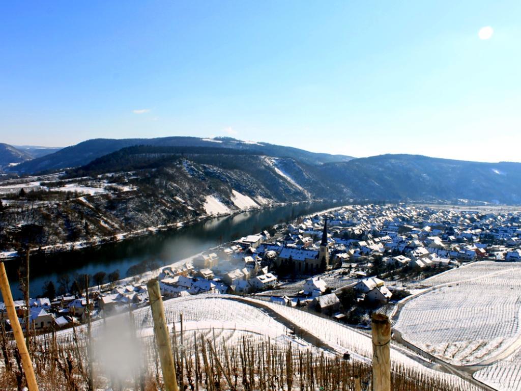Ferienweingut Rainer Beitzel Hotel Kröv Eksteriør billede