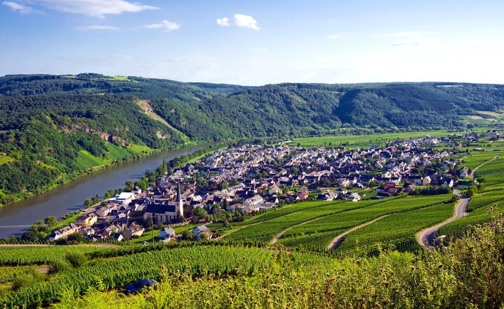 Ferienweingut Rainer Beitzel Hotel Kröv Eksteriør billede