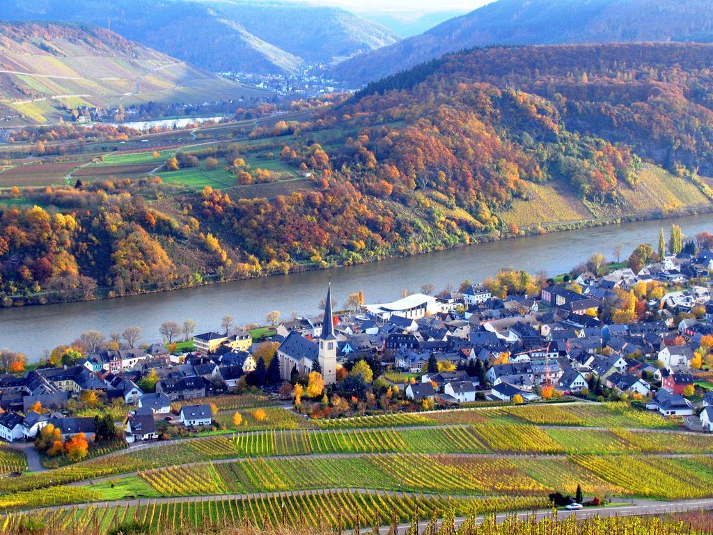 Ferienweingut Rainer Beitzel Hotel Kröv Eksteriør billede