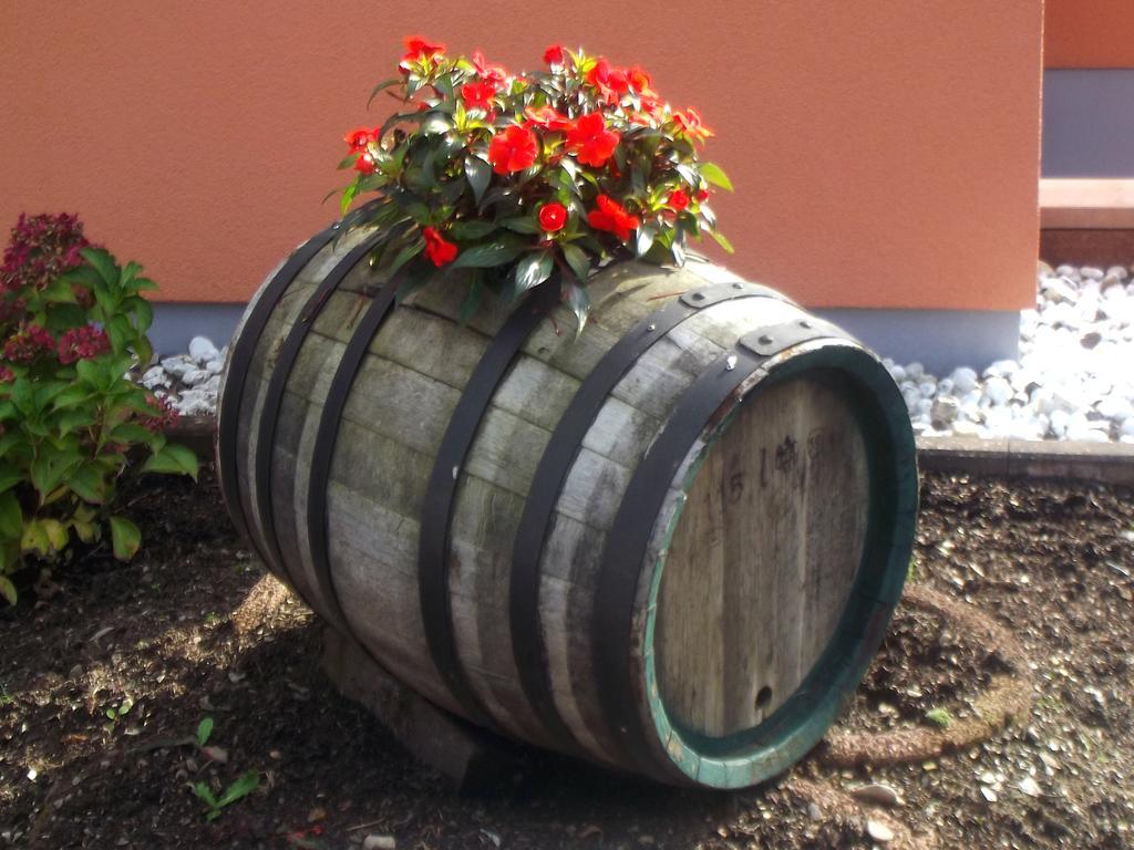 Ferienweingut Rainer Beitzel Hotel Kröv Eksteriør billede